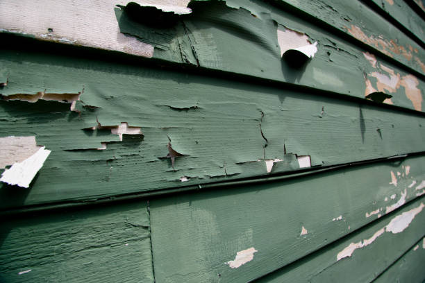 Best Composite Siding  in Northville, MI