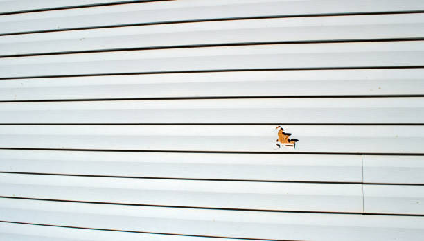 Best Stucco Siding  in Northville, MI