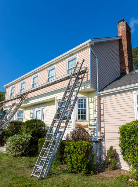 Best Custom Siding Design  in Northville, MI