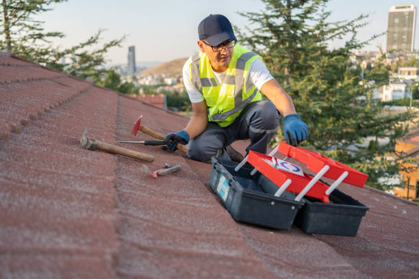Best Siding Maintenance  in Northville, MI